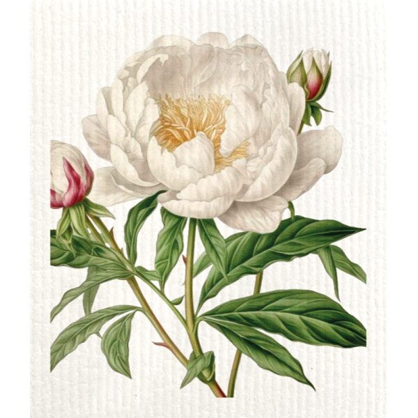 Pano de Loiça 17x20cm Peôneas e Rosas