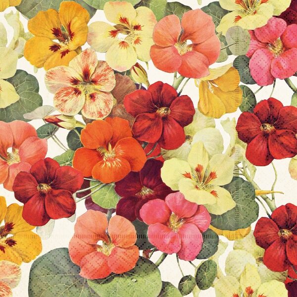 Guardanapo Papel 3folhas 33x33cm Flores de Verão