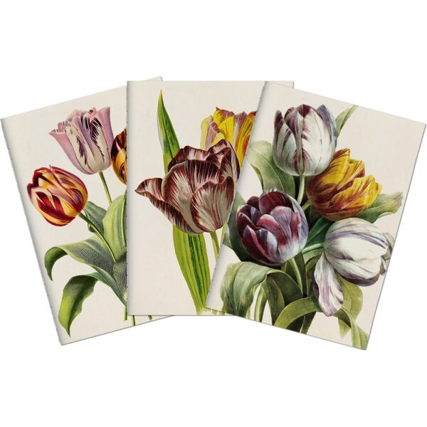 Livro de Notas A6 Conj 3 Tulipas Purpura
