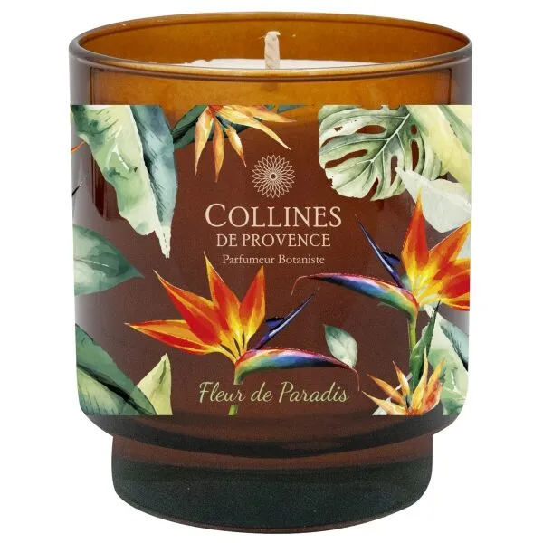 Frescura Vegetal  Vela Perfumada 220g Flôr do Paraiso