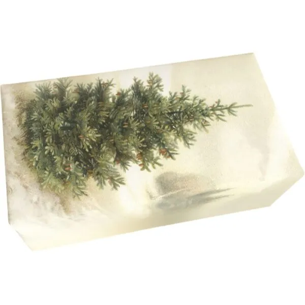 Sabonete 200grs Floresta Pinheiro Natal