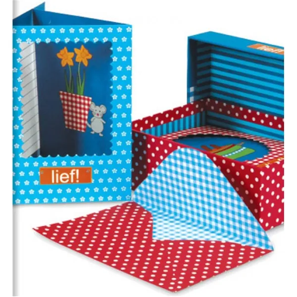 Lief! - Cartões de presente com envelope em caixa Holland